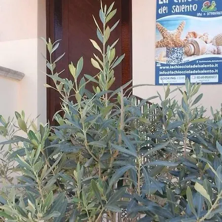 Chiocciola Del Salento *